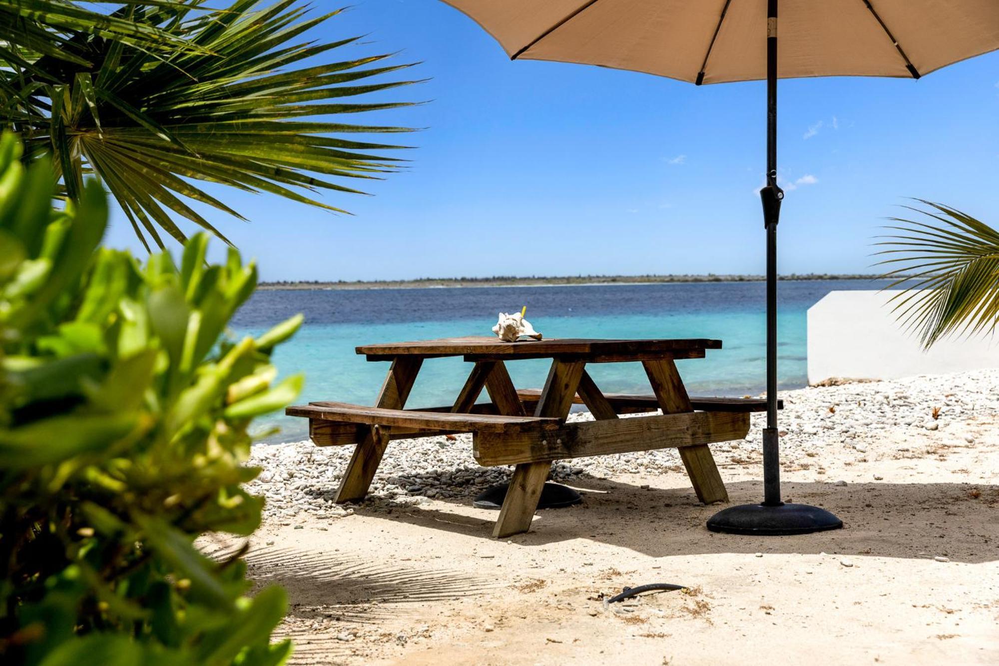Oceanfront - Villa Port Of Call - Kralendijk  Luaran gambar
